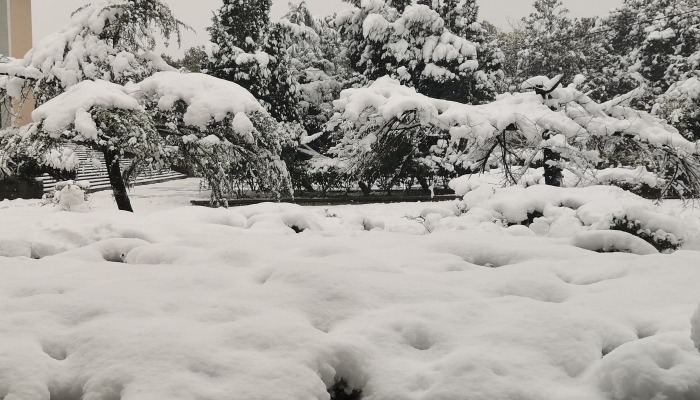 哪些 应对暴雪天气准备工作有哪些爱游戏平台暴雪天气路面应急措施有